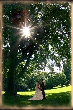 The Aurora Gallery Image